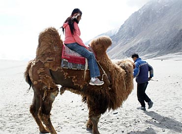 Only place in India where Twin Humped Camels can be found