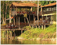 Hoteles y Resorts | Alojamientos en Chitwan | Cheap, Presupuesto, de lujo, estancia en Chitwan