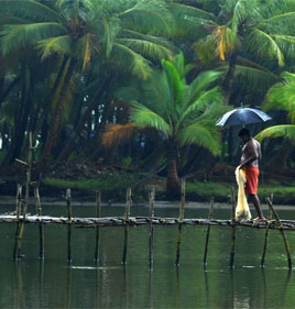 Pacchetti turistici del Kerala